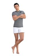T-Shirt (Grey)